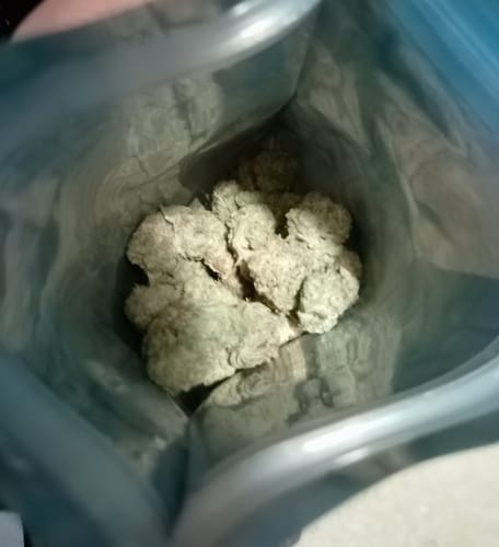 Customer photo review of White Widow - 28 Grams – Hybrid