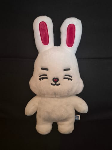 Customer photo review of SEVENTEEN - MINITEEN 2ND OFFICIAL MD PLUSH TOY