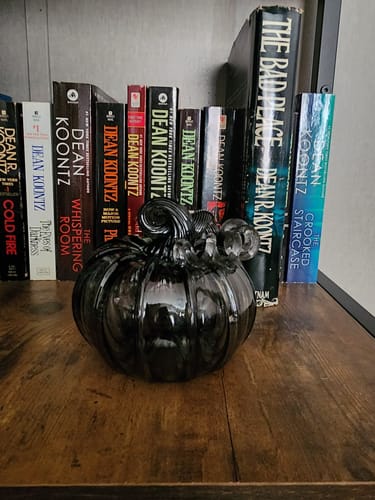 Customer photo review of Dark Sky Squat Pumpkin