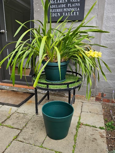 Customer photo review of Round Planter, Green