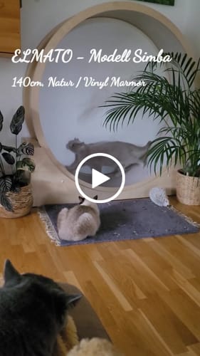 Andrea K. review of Elmato Katzenlaufrad Simba image 1 out of 1