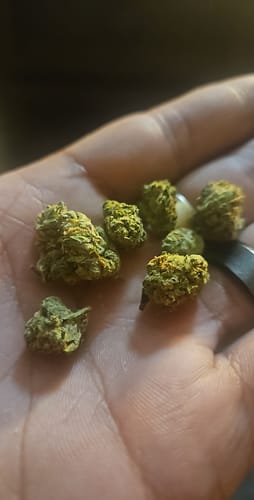 Customer photo review of Shipping Protection by Route