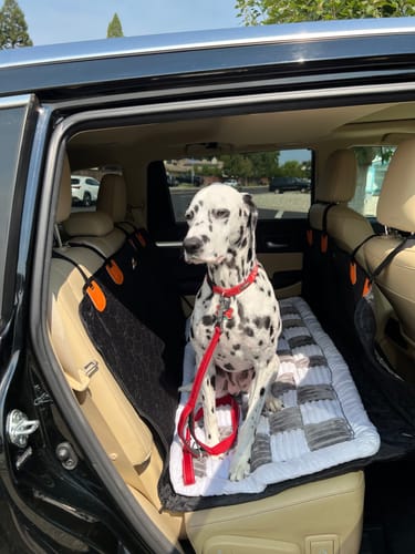 Customer photo review of RuffRover 2.0™ - Hard Bottom Dog Car Seat Protector + (FREE Dog Bed)