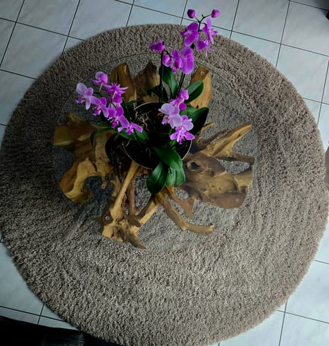 Customer photo review of Wurzel Couchtisch NAGA inkl. Glasscheibe Ø 100 cm auf Stahlfüssen