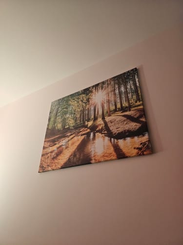 Customer photo review of Leinwandbild | Sonniger Wald | Querformat