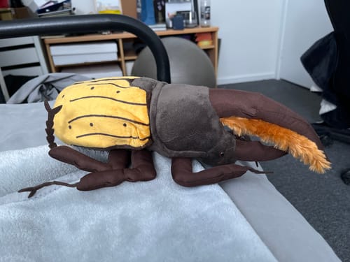 Customer photo review of Hercules Beetles Soft Stuffed Plush Toy