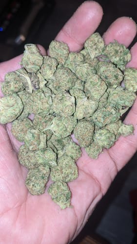 Customer photo review of Shipping Protection by Route