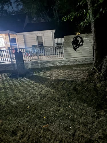 Customer photo review of Lion Head - Metal Wall Art