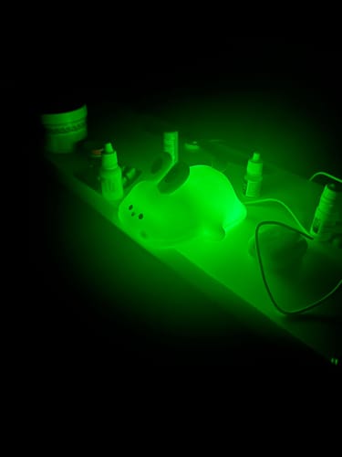 Customer photo review of Rabbit Lamp