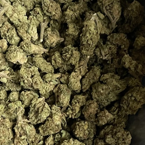 Customer photo review of Cheap THCA Flower Half Pound