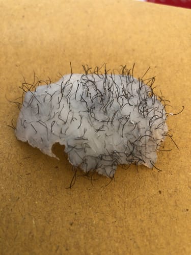 Customer photo review of Mae Mae Hard Wax