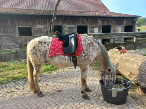 Customer photo review of Kristallkraft No2