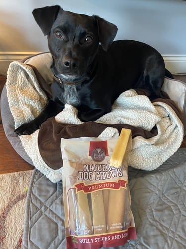 Customer photo review of Himalayan Yak Chew (MEDIUM)