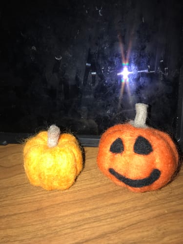 Customer photo review of Pumpkin Trio Mini Needle Felting Kit