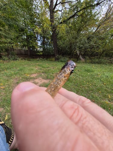 Customer photo review of 2 x Sampler Alpha Rosin Moonrock Watermelon Kush Sativa THC-A Infused Pre Rolls 2g