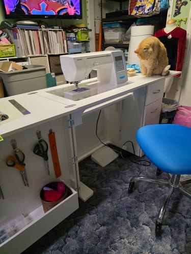 Customer photo review of Harriet Sewing Cabinet (2 Colors Available)