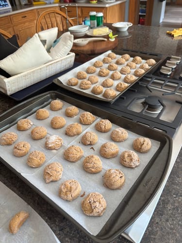 Customer photo review of gfJules All Purpose Gluten Free Flour