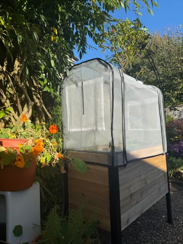 Customer photo review of Raised Garden Bed - 46cm x 92cm x 76cm