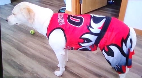 Customer photo review of Custom Red Black Hem Flame Pattern Fashion Sports Uniform Basketball jersey