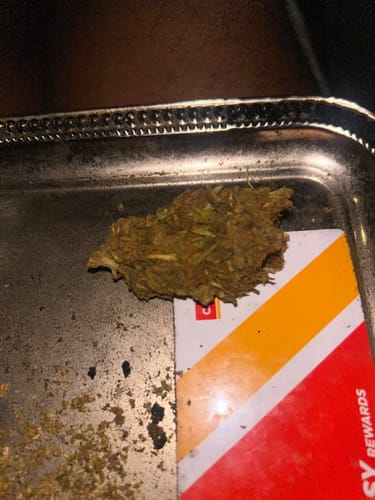 Customer photo review of Purple Nebula Indoor THCA Trim