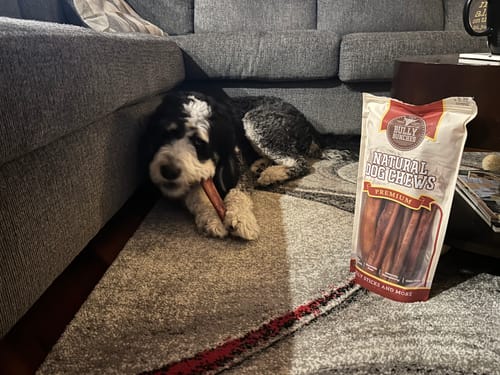 Customer photo review of 12 Inch Monster Bully Stick