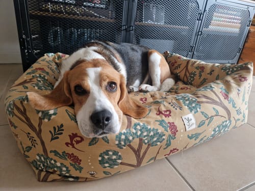 Customer photo review of Divanetto Cotone Panama Botanic