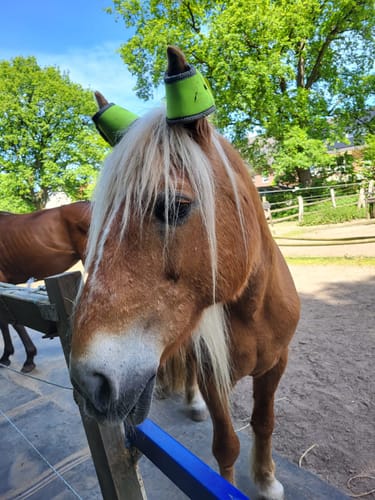 Customer photo review of Kristallkraft Move