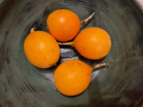 Customer photo review of Mango & Granadilla Box