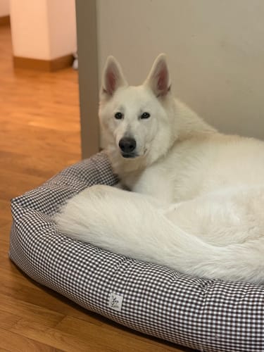 Customer photo review of Divanetto Vichy Marrone