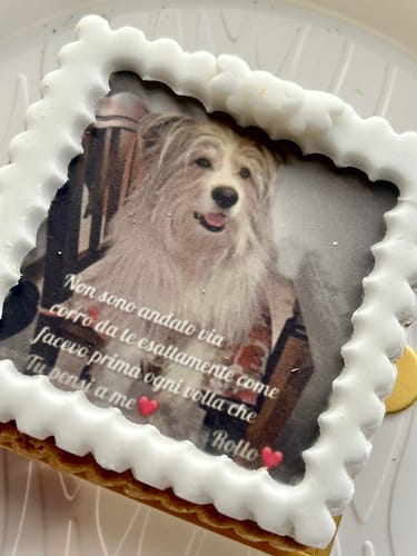 Customer photo review of Fotogenica 2 Torta Per Cani CON FOTO e NOME