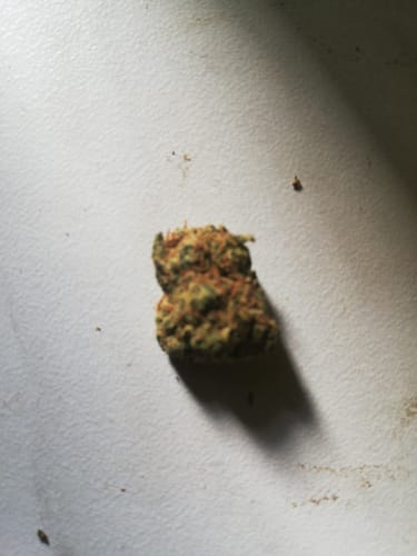 Cindy P. review of California Love THC-A Blüten image 1 out of 1