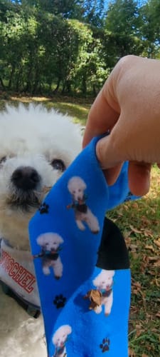 Astrid A. review of Personalisierte Socken mit deinem Haustier image 1 out of 3