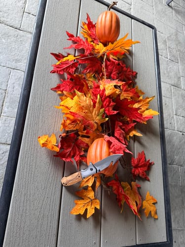 Customer photo review of HOLY GRAIL™ POCKET KNIFE