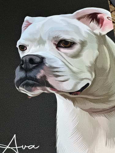 Customer photo review of Pet Art Canvas Wrap