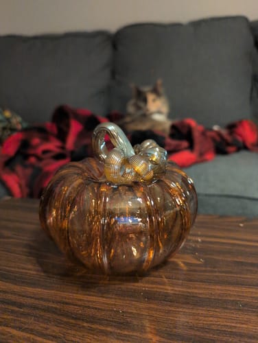 Customer photo review of The Harvest Pumpkin