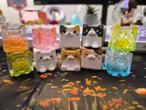Customer photo review of Square Cat Series Blind Bag