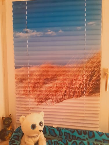Customer photo review of Plissee Motiv"Langeroog Strand"