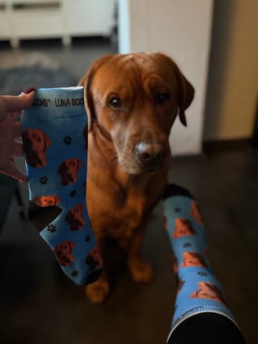 Christina H. review of Personalisierte Socken mit deinem Haustier image 1 out of 1