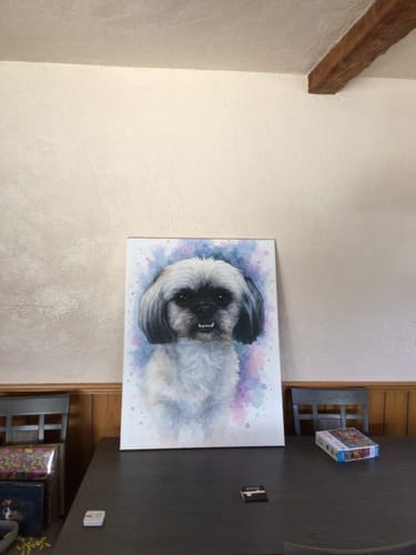 Customer photo review of Pet Lovers Academy