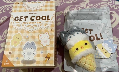 Customer photo review of MINI SKZOO 10CM PLUSH BLIND BOX
