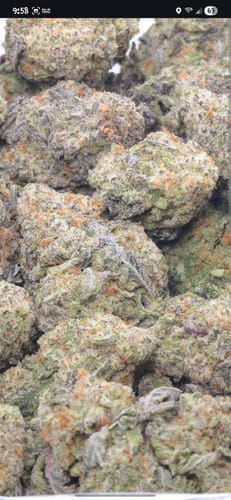 Customer photo review of Triple Burger Indoor THCA