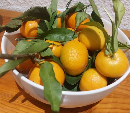 Tatiana R. review of Clémentines Bio - Origine Corse image 1 out of 1