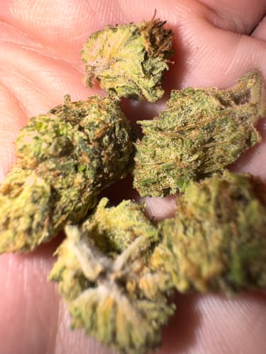 Karson C. review of THCa Indoor Micros image 1 out of 1