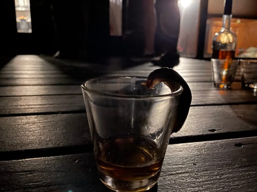 Customer photo review of Fuego Bitters