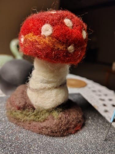 Customer photo review of Sophie Wheatley's Felted Fungi Supplies Box