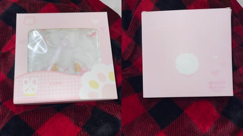 Customer photo review of LUNA BUNNY PLUSH BINDER - A7