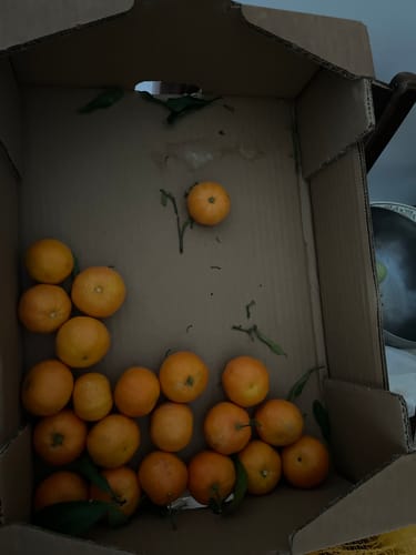 Bernard B. review of Clémentines Bio - Origine Corse image 1 out of 1