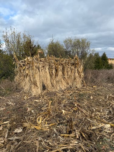 Customer photo review of Hunting Blind Raffia Grass (Pack)