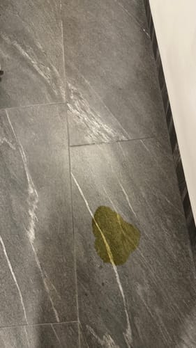 Customer photo review of Paquete Peludos - Membresía - 2 Piezas de 850 grs + Envío GRATIS