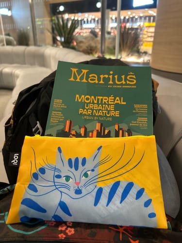 Customer photo review of AGATHE SINGER A Bunch Of Playful Cats Recycled Zip Pocket